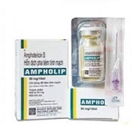 AMPHOLIP